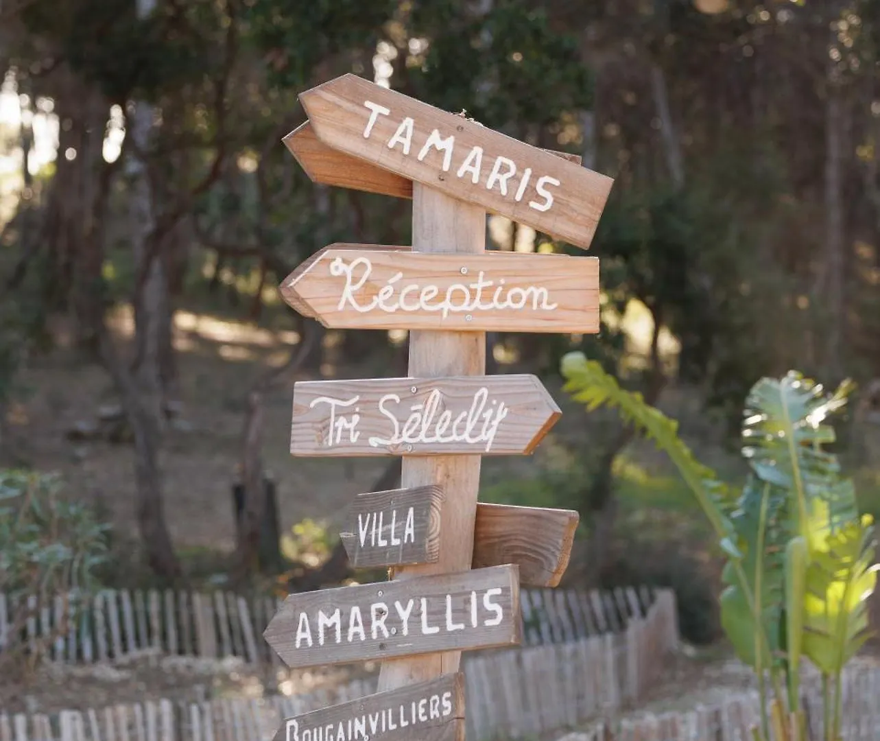 Le Domaine De La Mer - Appartements De Plage Dans Un Cadre Enchanteur Hyères