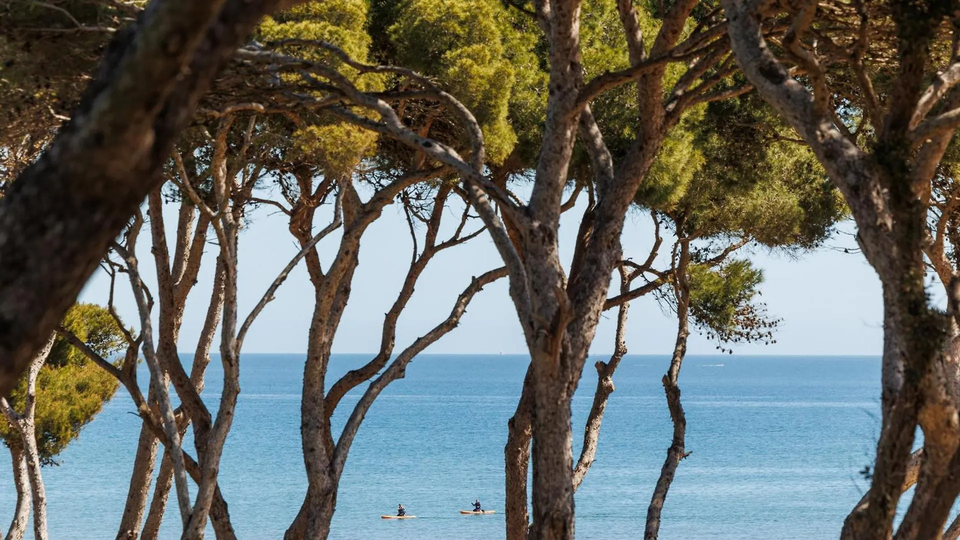 Le Domaine De La Mer - Appartements De Plage Dans Un Cadre Enchanteur Hyères Daire