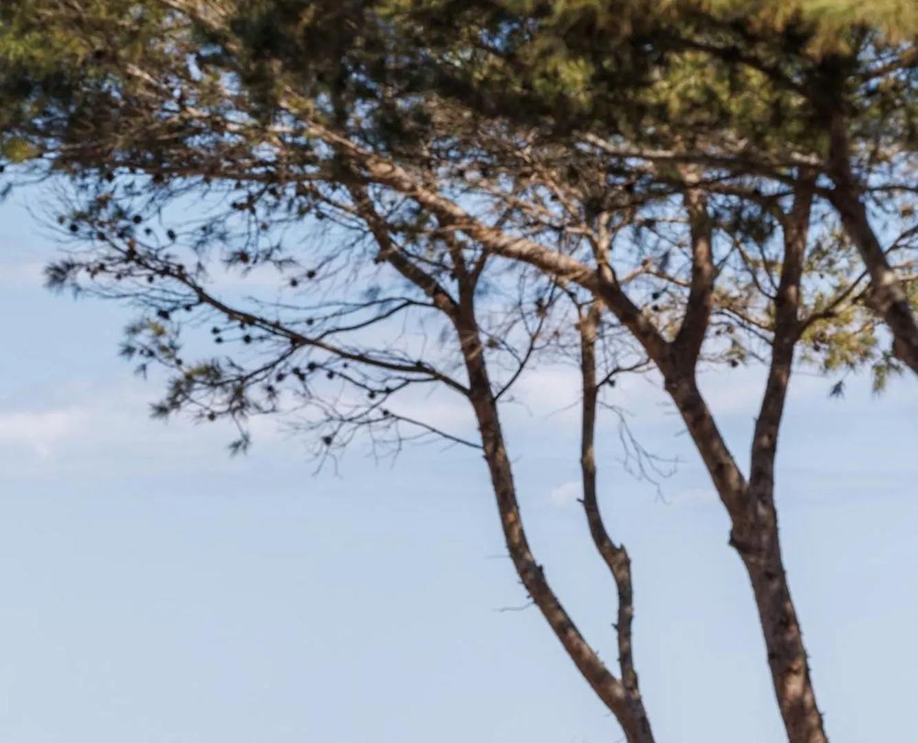 Le Domaine De La Mer - Appartements De Plage Dans Un Cadre Enchanteur Hyères