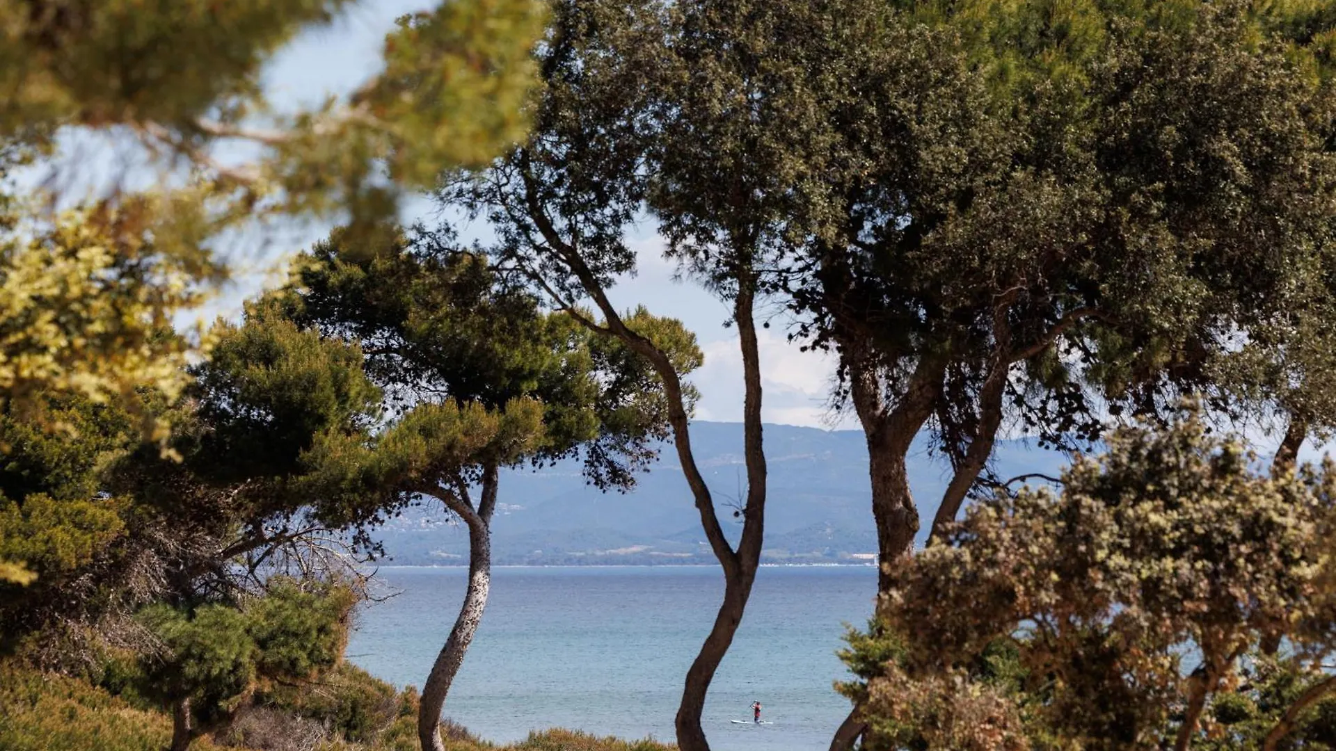 Le Domaine De La Mer - Appartements De Plage Dans Un Cadre Enchanteur Hyères Daire