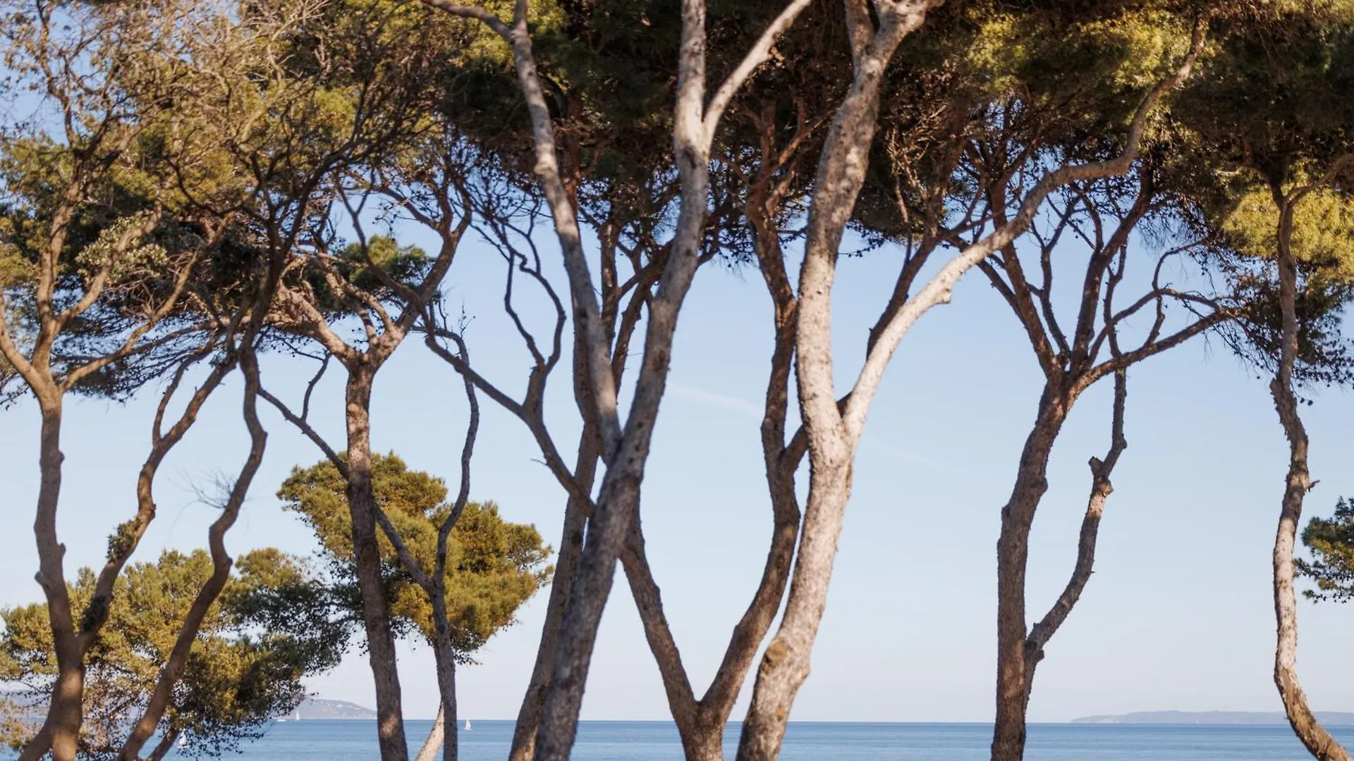 Le Domaine De La Mer - Appartements De Plage Dans Un Cadre Enchanteur Hyères